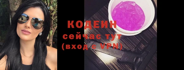 ECSTASY Богданович