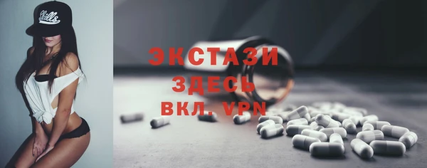 ECSTASY Богданович