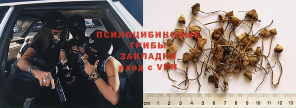 амф Белоозёрский