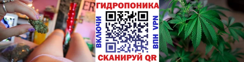 Марихуана Bruce Banner Светогорск